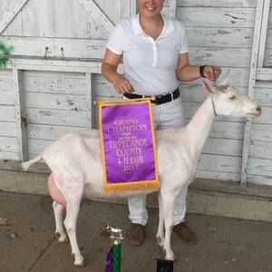 Meet your Posher, Gary